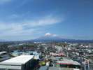 ホテルからの富士山