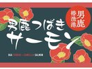 男鹿椿サーモン