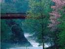 幻想的な朝もやと二見吊橋
