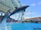 名古屋港水族館 写真提供:(公財)名古屋観光コンベンションビューロー