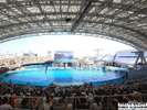 名古屋港水族館 写真提供:(公財)名古屋観光コンベンションビューロー