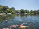 徳川園 龍仙湖 写真提供:(公財)名古屋観光コンベンションビューロー