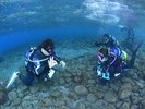 体験ダイビング