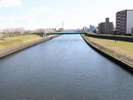 荒川の南を流れる新河岸川。綺麗な桜堤を眺めることができます。