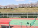 新河岸川沿いのテニスコート。テニスをしながら桜も楽しめるとは最高ですね♪