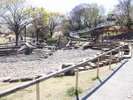 「清水坂公園」のびのび遊べるこの公園は、小さなお子様連れなら間違いなくオススメスポットです。