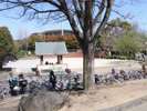 「清水坂公園」のびのび遊べるこの公園は、小さなお子様連れなら間違いなくオススメスポットです。