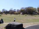 「清水坂公園」のびのび遊べるこの公園は、小さなお子様連れなら間違いなくオススメスポットです。