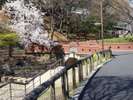 「清水坂公園」のびのび遊べるこの公園は、小さなお子様連れなら間違いなくオススメスポットです。