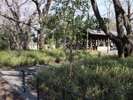 「赤羽自然観察公園」にはデイキャンプ設備などもあります。