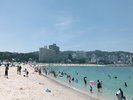 周辺観光|白良浜