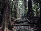 周辺観光|熊野古道