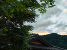 #夏・和庭園 縁側で深緑を眺めながら夕涼み。