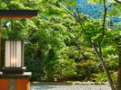 #外観・夏 風に揺れる木々の音や虫の声に耳を傾けながらのんびりと。