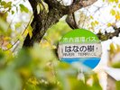 市内循環バス「はなの樹 RIVER TERRACE」バス停が目の前。市内観光へのアクセスも便利です。