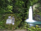 【周辺観光】浄蓮の滝〜当館よりお車で50分〜
