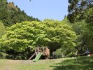 【周辺観光】姫の沢公園〜当館よりお車で20分〜