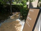 コンドミニアムからナカニワへの通路