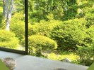 椿の間(縁側)