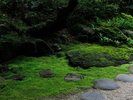 ■江戸時代より中山道下諏訪宿の本陣宿として長い歴史を紡いできた旧館と庭園