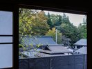 ■【羽衣】和室13畳+広縁/情緒ある諏訪大社の杜を望む