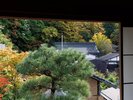 ■【霧島】本館和室14畳/情緒ある諏訪大社の杜を望む 眺望(イメージ)
