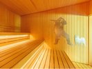 【宮沢賢治のデザインを施したなめとこ山サウナ】