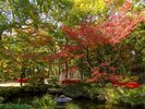 周辺観光/【楽水園(秋)】博多駅近くのオフィス街の一画にある日本庭園/提供:福岡市