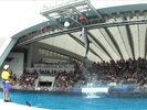周辺観光/【マリンワールド】迫力満点!海の生き物と出会える、福岡の人気水族館/提供:福岡市