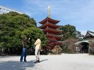 周辺観光/【東長寺】朱塗りが美しい純木造総檜造りの五重塔