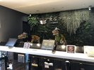 新フロント