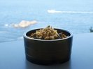 【朝食|磯めし】当ホテルオリジナルの伊勢志摩の海で育まれた旨みを詰め込んだ、風味豊かな味わいです。