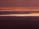 【周辺・景色】伊勢志摩の海を彩る、幻想的な光景