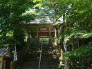 【金剛證寺】当施設から車で約45分、歴史と自然に包まれた名刹をお楽しみいただけます。