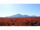浅間山紅葉
