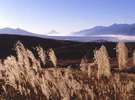 霧ヶ峰「わすれじの丘」から見た秋のススキ野、背景に富士、八ヶ岳、アルプス
