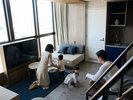 fav 東京両国