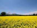 【周辺・景観】赤倉の風景