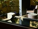 *【蓮華/露天風呂】源泉かけ流しの湯に浸かり、心身ともに癒される至福のひととき