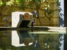 *【蓮華/露天風呂】やさしい陽光と湯けむりに包まれる、癒しの露天空間です