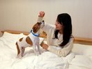 絆では愛犬と一緒のお布団、ベッドでおやすみ頂けます。
