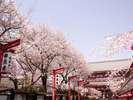 春の東京の観光地の様子