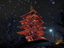 冬の東京の様子