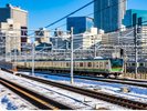 冬の東京の様子