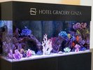 ラウンジ前に記念写真もお撮りいただける水槽がございます。