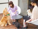 プライベートドッグランにはテラスも併設!