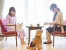 広縁でおくつろぎいただけます