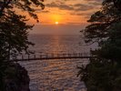 夏の気候におすすめなのは城ケ崎海岸! 写真提供:伊東市観光課