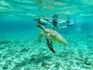 【感動体験シュノーケルツアー】海をのぞけば、そこはまるで竜宮城のよう。