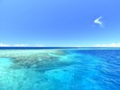 【八重干瀬ボートシュノーケル】船でしか行けないシュノーケリングポイントへ。感動のシュノーケリング体験